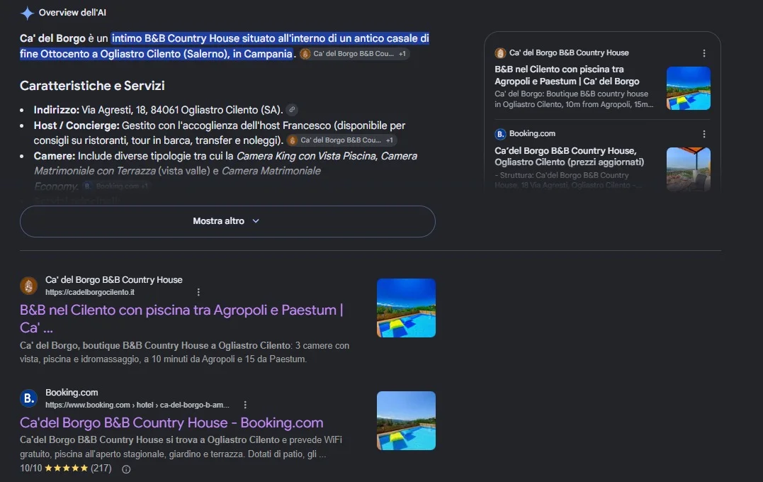 Risultati di Google per Ca' del Borgo: la Panoramica AI cita il sito ufficiale e il sito compare prima di Booking